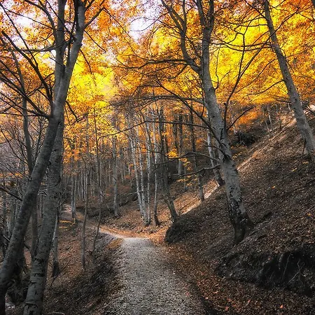 Marconi Frühstückspension