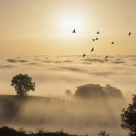 Frühstückspension Marconi